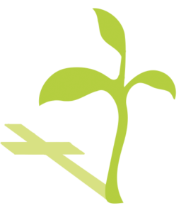 Evangelische Gemeente Krimpen