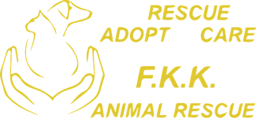 Fundashon Kunuku Kakelvers