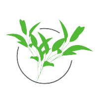 Omroepvereniging Groen