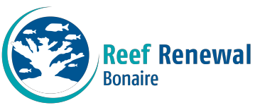 Reef Renewal Foundation Bonaire