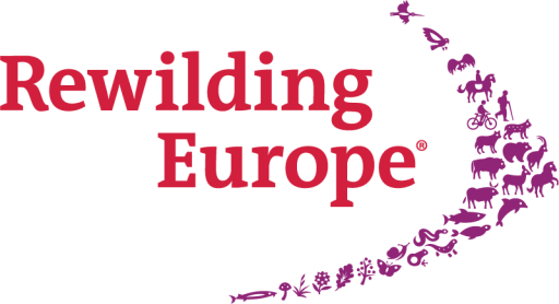 Rewilding Europe