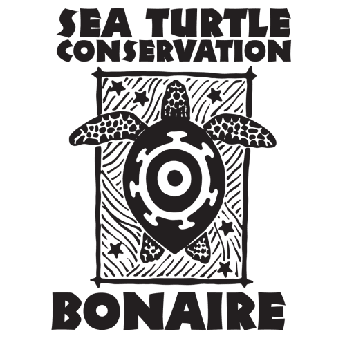 Sea Turtle Conservation Bonaire