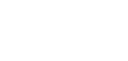 Stichting Activiteiten New Dutch Academy