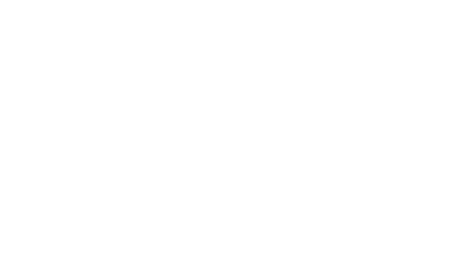 Stichting Afs Nederland
