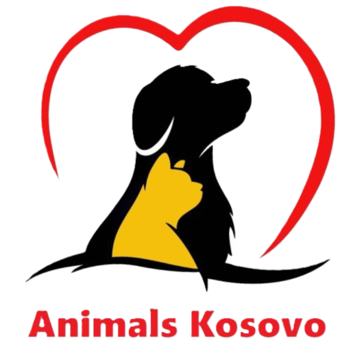 Stichting Animals Kosovo