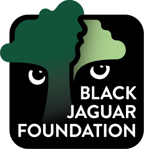 Stichting Black Jaguar Foundation