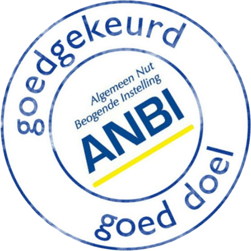 Stichting Braininnovations