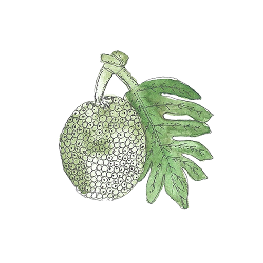 Stichting Breadfruit House Dominica Foundation