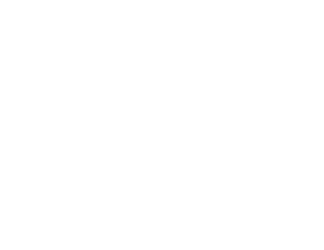 Stichting Bridging Nations And Persons Nederland