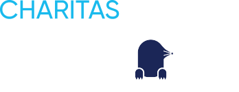 Stichting Charitas De Mol