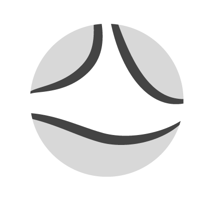 Stichting Cleft Surgery Organisation