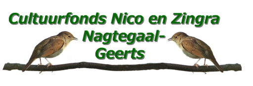 Stichting Cultuurfonds Nico En Zingra Nagtegaal- Geerts