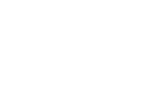 Stichting Dag Van Het Kasteel logo