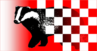 Stichting Dassenwerkgroep Brabant