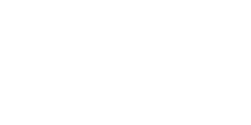 Stichting "De Adelaar"