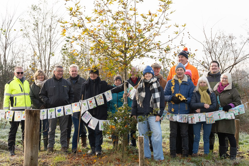 Stichting De Amerkantop