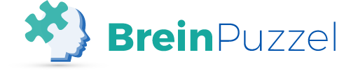 Stichting De Breinpuzzel