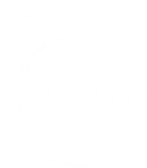 Stichting "De Palmstad"