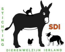 Stichting Dierenwelzijn Ierland
