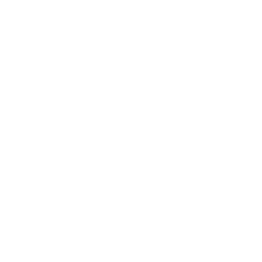 Stichting Dutch Dance League