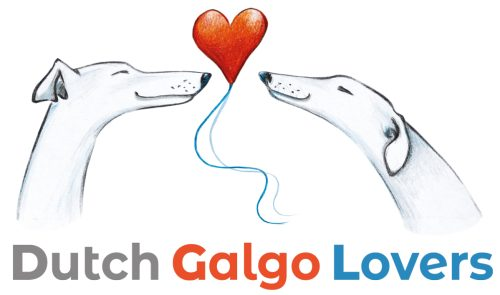 Stichting Dutch Galgo Lovers