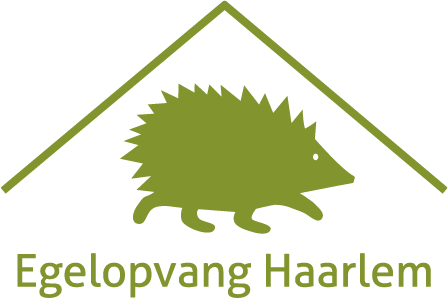 Stichting Egelopvang Haarlem En Omstreken