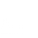 Stichting Europees Jeugdparlement Nederland