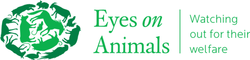 Stichting Eyes On Animals