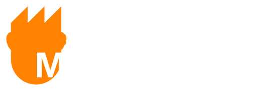 Stichting Fabriek Magnifique