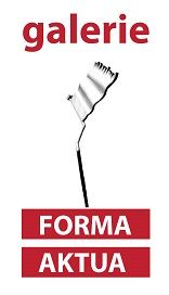 Stichting Forma Aktua Pinakotheek