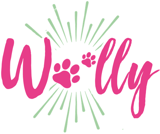 Stichting Fundacion Woolly