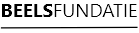 Stichting Fundatie Van Theodorus Nicolaas Beels