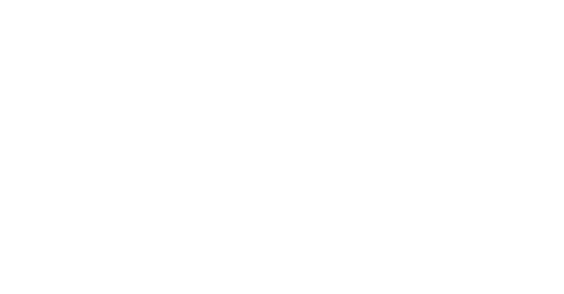 Stichting Global Women Leadership