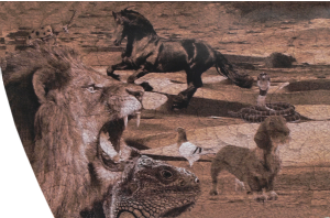 Stichting Gouden Koets Hollands Kroon