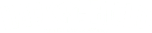 Stichting Hackshield Future Cyber Heroes