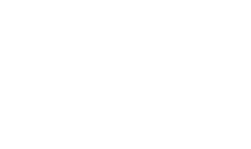Stichting Het Nationale Theater