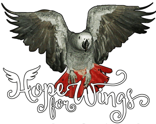 Stichting Hope For Wings