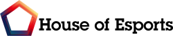 Stichting House Of Esports Gamen In De Maatschappij