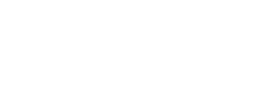 Stichting Identiteit Gezocht