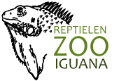 Stichting Iguana