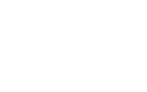 Stichting Imagine Film Festival