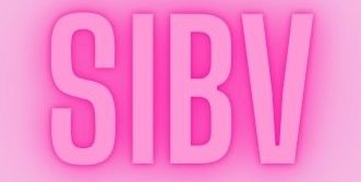 Stichting Initiatief Buurtkast Valkenbos