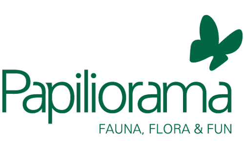 Stichting International Tropical Conservation Fund