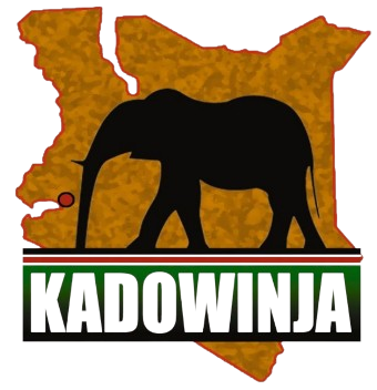 Stichting Kadowinja