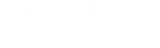 Stichting Karavaan Exceptionel