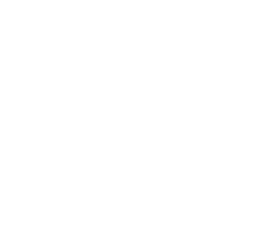 Stichting Kerst In Het Julianapark