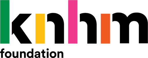 Stichting Koninklijke Katalys