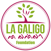 Stichting La Galigo