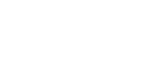 Stichting Leiden Asia Centre