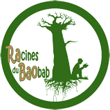 Stichting Les Racines Du Baobab